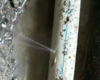 营口卫生间测漏水多少钱